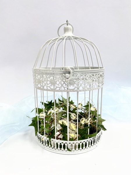 large white bird cage